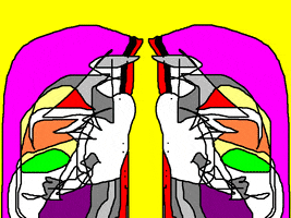  Animated Gif on Giphy