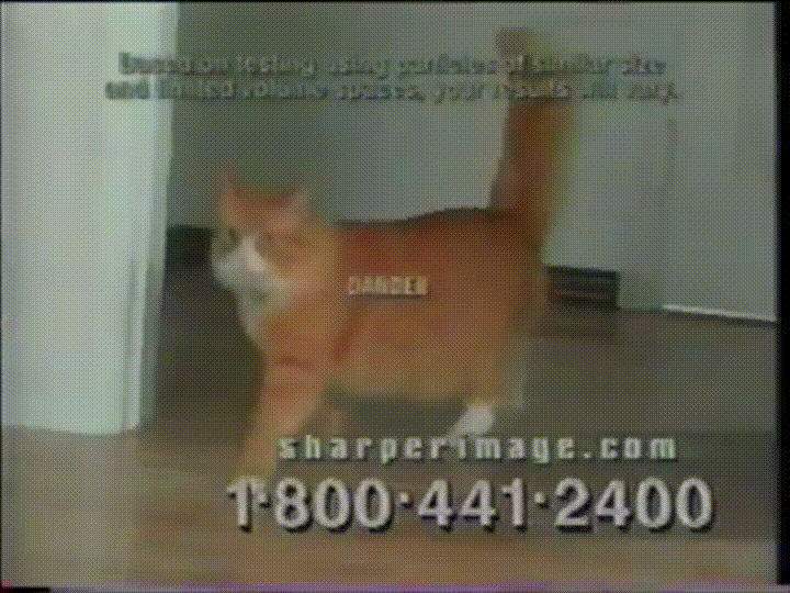 cat infomercial gif - find & share on giphy