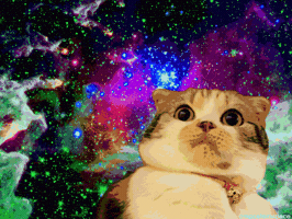 200_s.gif