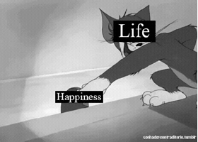 200.gif