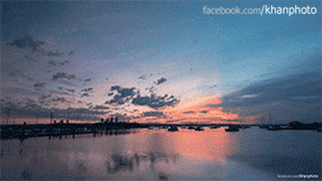 Home Nature animated GIF