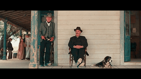 cowboys gif - find & share on giphy