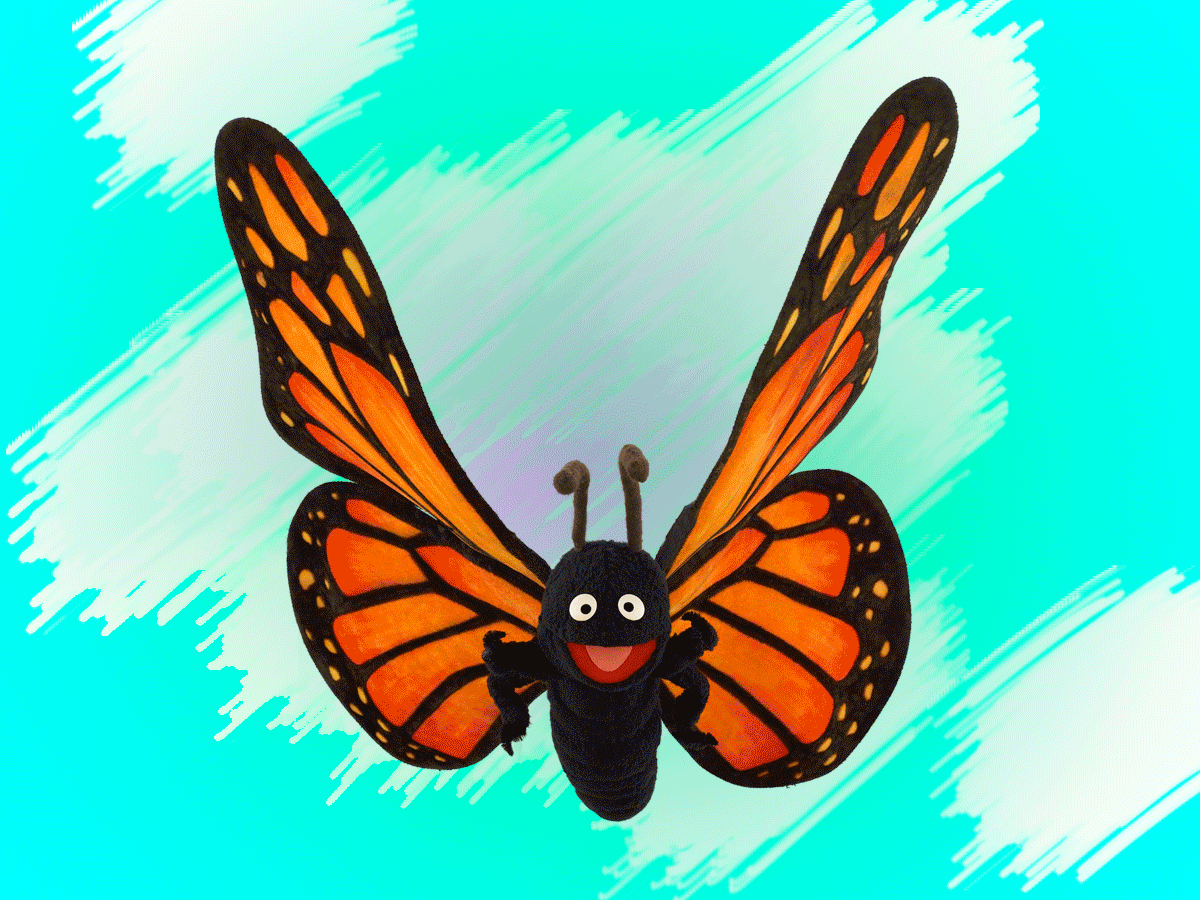 壁纸 昆虫 桌面 1200_900 gif 动态图 动图