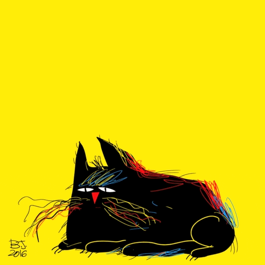 angry cat lolololol gif