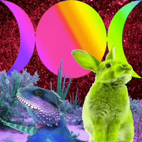 highly saturated image