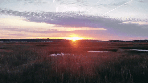 Marsh