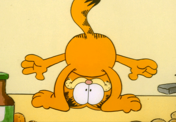 happy upside down gif by garfield