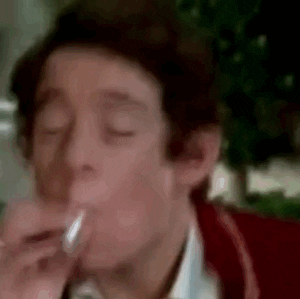 giphy.gif