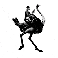 Flipbookit Ostrich animated GIF