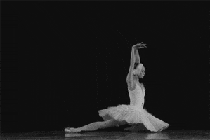 Ballet Black And White animated GIF