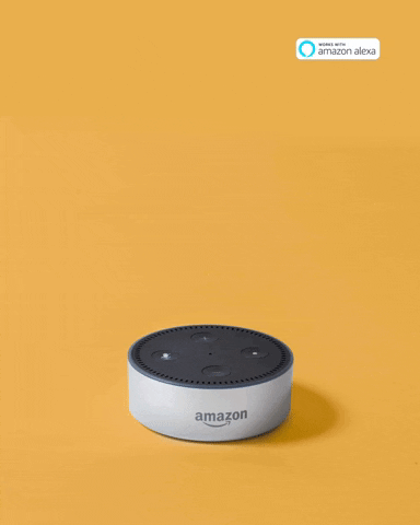 Amazon Alexa GIF by Imaginealady - Find & Share on GIPHY
