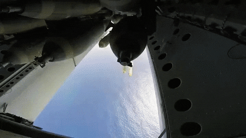 Celebrating the RAF