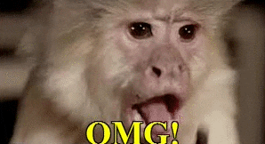 Shock Monkey Wow Meme GIF