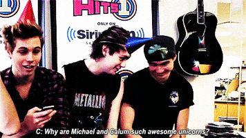 5 Seconds Of Summer 5secondsofsummer animated GIF