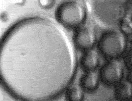 Bubbles Microfluidics animated GIF