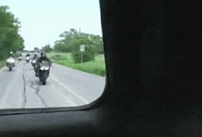 Crash Rgifs animated GIF