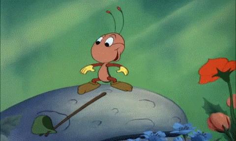 Little bug smelling