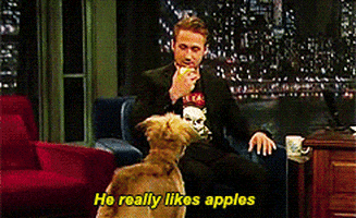 Ryan Gosling with dog on Fallon 