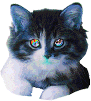 Cat Eyes animated GIF