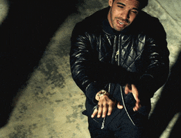 Drake animated GIF