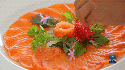 salmon