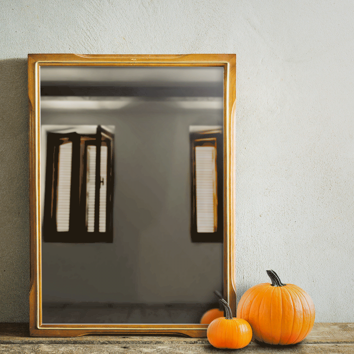 animated gif - find & share on giphy