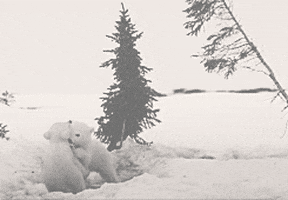 http://media1.giphy.com/media/pCpmOBdRzQLn2/200.gif