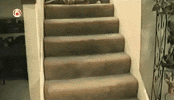 200.gif