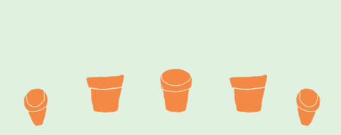 animation plants GIF by whateverbeclever