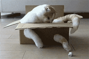 200_s.gif