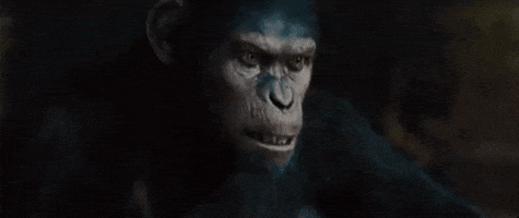 Angry Dawn Of The Planet Of The Apes animated GIF