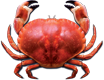 AGGROCRAB