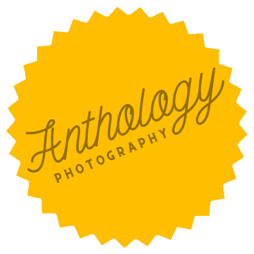 Giphy profile picture for @Anthology