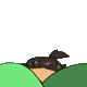 Asmajeb