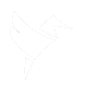 Codifly