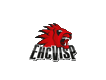 EHCVisp