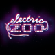 ElectricZooNY