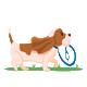 Hushpuppiescol