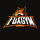 FoxGymGyor