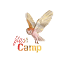 Avant-Garde-CampingCo