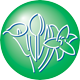 Holex_Flower