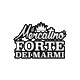 IlMercatinoDaForteDeiMarmi