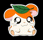 LittleHamster