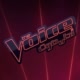 MBC The Voice Avatar