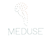 Medusept