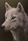 MoonDoggy3327