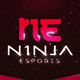 N1NJA_ESPORTS