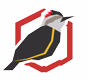 quirudisenoyoficios