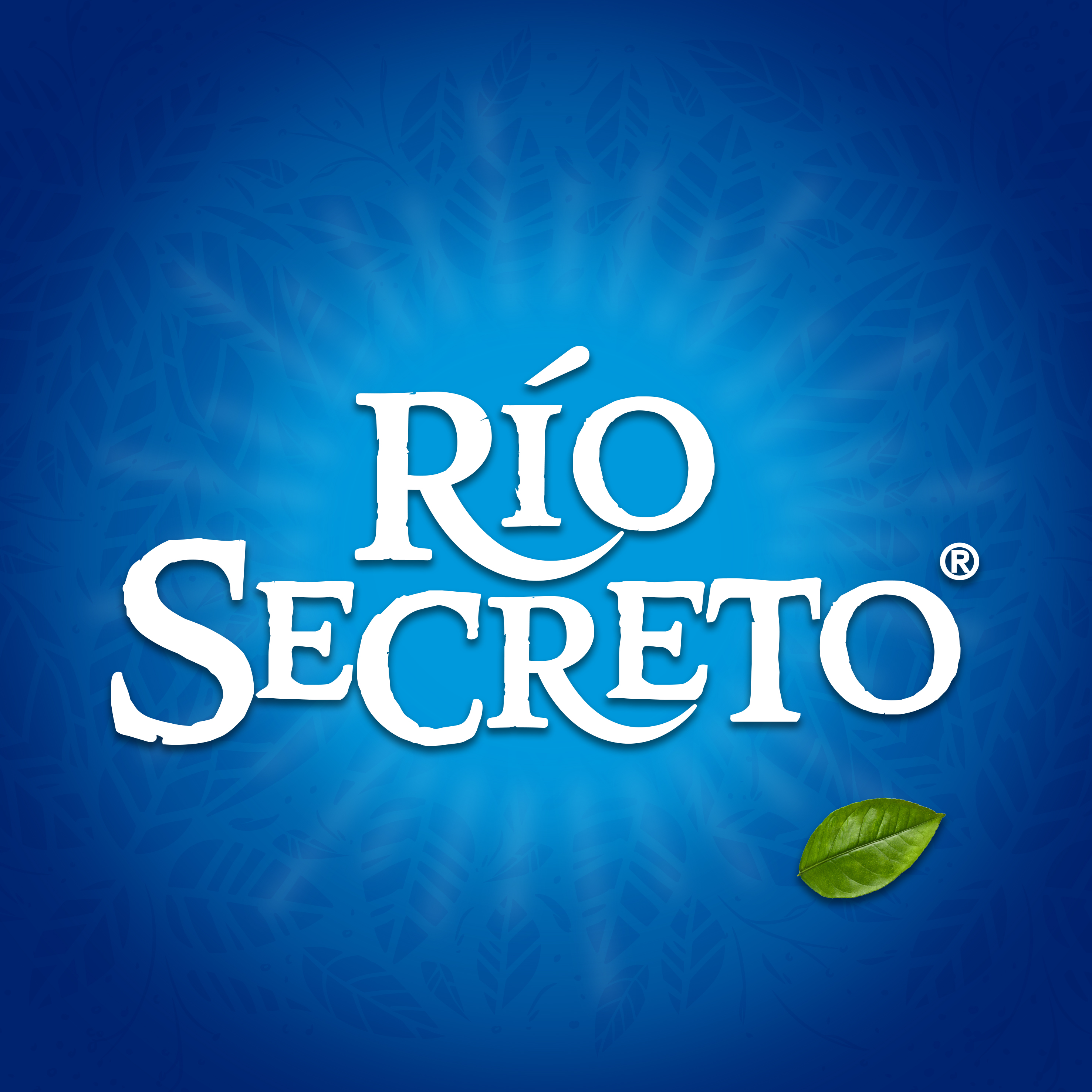 Giphy profile picture for @RioSecreto