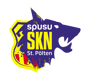 SKN_StPoelten_Frauen